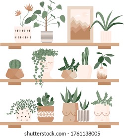 Urban jungle, home plants set in cute pots on the shelves. Gardening, greenhouse, planters, cacti, tropical leaves as home decor. Hand drawn flat vector elements for greeting cards, poster, banner