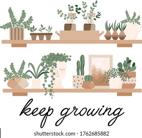 Urban jungle, home plants set in cute pots on the shelves. Gardening, greenhouse, planters, cacti, tropical leaves as home decor. Hand drawn flat vector elements for greeting cards, poster, banner