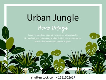 Urban jungle horizontal banner. Home plants design. Space for text