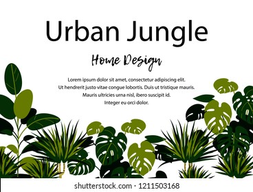 Urban jungle horizontal banner. Home plants design