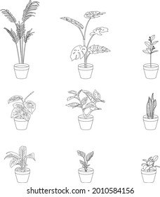 Urban jungle, house plant, foliage, Vector