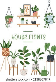 Urban jungle house. Set of cute plants in pots, planters, cacti, tropical leaves. banner, greeting card print. House interior decor elements. Houseplants growing, Home gardening