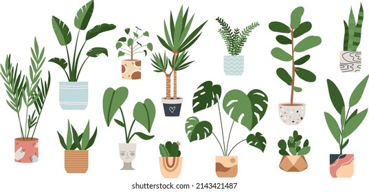 Urban jungle house. Set of cute plants in pots, planters, cacti, tropical leaves. banner, greeting card print. House interior decor elements. Houseplants growing, Home gardening