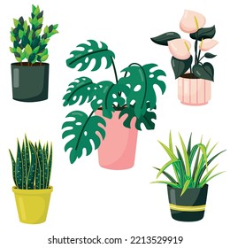 Urban jungle houseplants collection, vector illustration, set, simple style