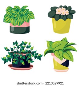 Urban jungle houseplants collection, vector illustration, set, simple style