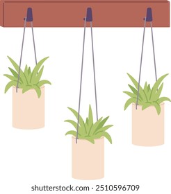 Urban jungle icon. Houseplants hanging on hooks isolated on white background