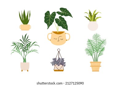 Urban jungle illustration, trendy home decor with snake plants, monstera, succulent, palm, tropical leaves in stylish planters and pots.