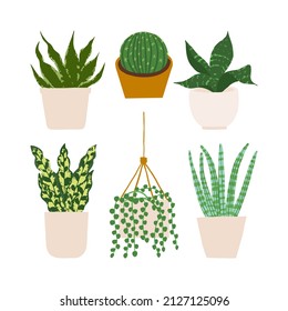 Urban jungle illustration, trendy home decor with plants, cactus, string of pearls, sansevieria, succulent,tropical leaves in stylish planters and pots.