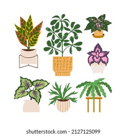 Urban jungle illustration, trendy home decor with plants, begonia, cactus, tropical leaves in stylish planters and pots.