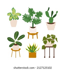 Urban jungle illustration, trendy home decor with snake plants, calathea, prayer, sansevieria, philodendron, dumb cane, tropical leaves in stylish planters and pots.