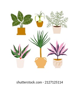 Urban jungle illustration, trendy home decor with plants, palm, stromanthe, asparagus, peacock, tropical leaves in stylish planters and pots.