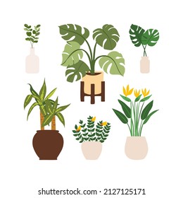 Urban jungle illustration, trendy home decor with plants, monstera, bird of paradise, eucalyptus, tropical leaves in stylish planters and pots.