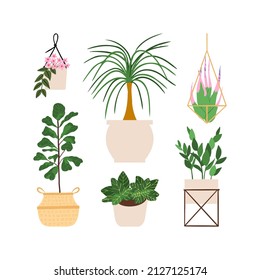 Urban jungle illustration, trendy home decor with hoya, palm, airplant, fiddle leaf fig, nerve, zz plant, tropical leaves in stylish planters and pots.