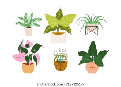 Urban jungle illustration, trendy home decor with plants, cactus, philodendron, monstera, tropical leaves in stylish planters and pots.