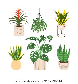 Urban jungle illustration, trendy home decor with snake plants, aloe vera, sansevieria, monstera, tropical leaves in stylish planters and pots.