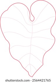 Urban Jungle A Monstera Leaf Illustration