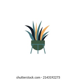 Urban jungle, plant in pot, house plant boho style vector colour illustration