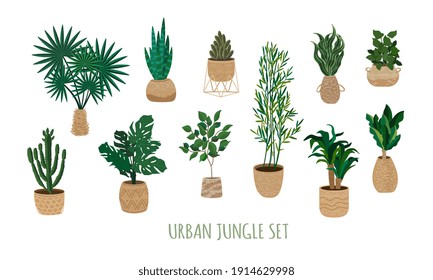 Urban jungle set. Houseplants in trendy wicker jute baskets.  Indoor big floor plants in handmade  wicker baskets. Contemporary and authentic house decor. Vector isolated elements set