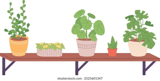 Urban jungle shelf. Houseplants growing. Green decoration isolated on white background