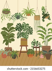 Urban Jungle Studio Indoor Plants