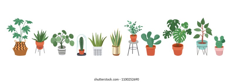 Urban jungle, trendy home decor with plants, planters, cacti, tropical leaves