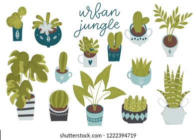 Urban jungle, trendy home decor with plants, planters, cacti, tropical leaves isolated on white background. Set of beautiful natural home decoration