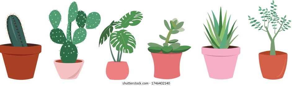 Urban jungle, trendy home decor with plants, planters, cacti, tropical leaves