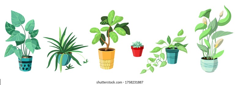 Urban jungle, trendy home decor with сollection of plants. Succulents and house flowers. Hand drawing vector illustration isolated on white background. Tropical flowers for room in flat style.