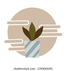 Urban jungle, trendy home decor with plants, cacti, tropical leaves in stylish planters and pots. Vector illustration. Pastel colors. Cozy savage.