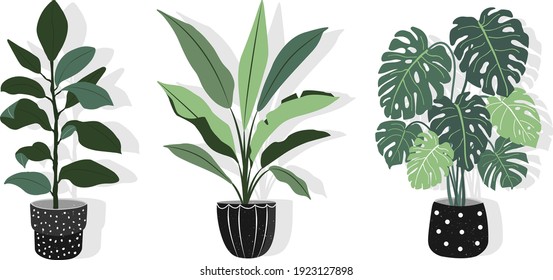 Urban jungle, trendy home decor with plants. Vector illustration of  tropical indoor plants in pots. Potted plants collection