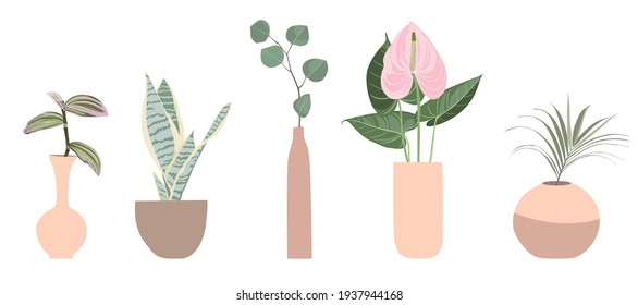 Urban jungle, trendy home decor with plants, branch, flowers, tropical leaves in stylish planters and pots illustration.