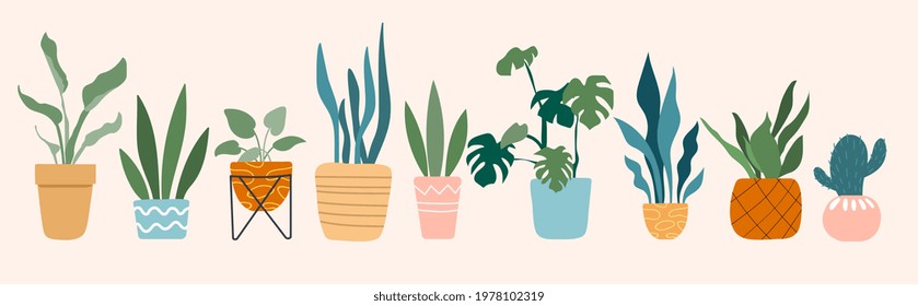 Urban jungle, trendy home decor with plants, cacti, tropical leaves in stylish planters and pots. Flat cartoon vector illustration concept design banner. Isolated on white background