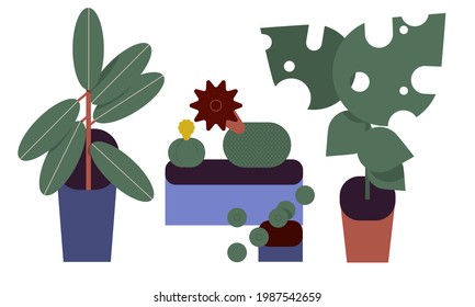 Urban jungle, trendy home decor with plants, cacti, tropical leaves in stylish pots. Modern flat vector use of digital concept illustration in web project and application.