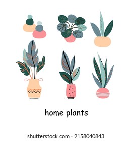 Urban jungle, trendy home decor with plants, vector cartoon illustration.