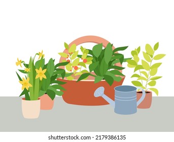 Urban jungle, trendy home decor with plants, planters, cacti, tropical leaves. Home gardening