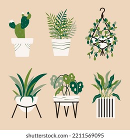 Urban jungle, trendy home decor. Home plants in pots. Nature houseplants, decoration potted houseplant and flower plant planting in pot