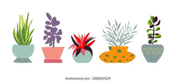 Urban jungle, trendy home decor with plants, tropical leaves in stylish planters and pots. Cartoon style. Vector illustration