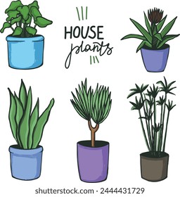 Urban jungle, trendy home decor with plants, house plants in stylish pots