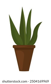 Urban jungle, trendy home decor with plant. Flat. houseplant Vector illustration.