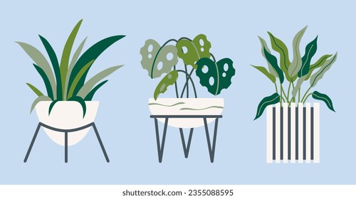 Urban jungle, trendy Pot plant set. Plants plastic decorative container and hanging styling indoor basket for potting tree urban garden vector collection. Potted plants. House interior design.