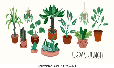 Urban Jungle. Vector illustration with trendy home decor. Houseplants, tropical leaves.