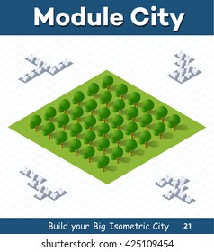 Urban module for the construction and design of large isometric city. Country park with trees