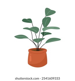 Urban Potted Plant. Aesthetic Plant Illustration. Tropical Plants in Botanical Illustration. Potted Plants. House Plant. Aesthetic Plants. Plant illustration. 