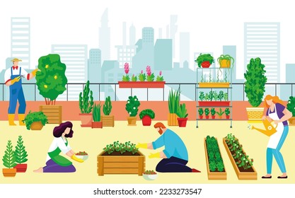 Urban roof landscaping kitchen garden people together organic vegetable, farmer character grow plants cityspace flat vector illustration.