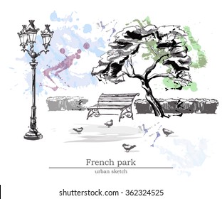 Urban sight with a big tree, puddles,outdoor light. Freehand line art drawing with ink pen on paper.Hand drawn vector illustration in romantic style.French park.