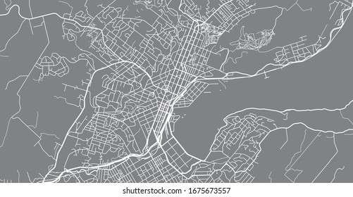 Stadtplan der Vektorillustration Dunedin, Neuseeland