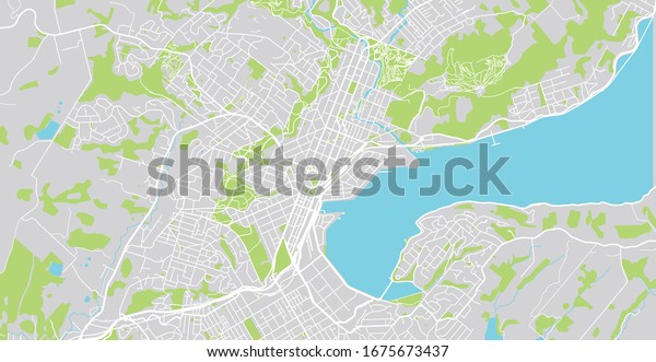 Urban Vector City Map Dunedin New Stock Vector (Royalty Free ...