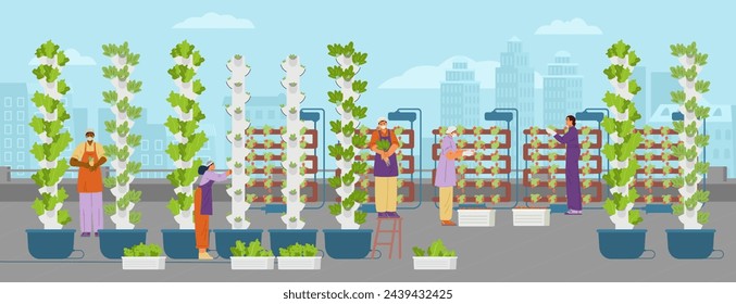 Urban vertical farm with workers on the roof top flat vector illustration.  Aeroponic towers with crops and hydroponic systems with strawberry.