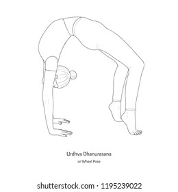 Urdhva Dhanurasana or Wheel Pose. Vector.