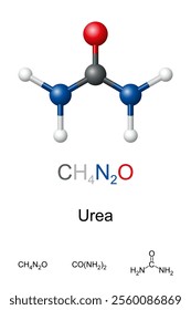 Urea, carbamide, molecule model and chemical formula. Ball-and-stick model of the organic compound carbonic diamide. Serves an important role in cellular metabolism, and used in fertilizer production.